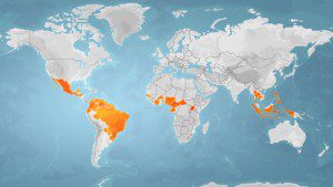 Rio alweer bedreigd? zika 02 vervolg kaartje